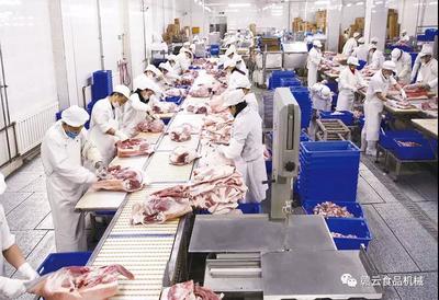 觸目驚心！豬價“跌跌不休”，養殖戶何去何從？食品銷售端迎來新挑戰與機遇